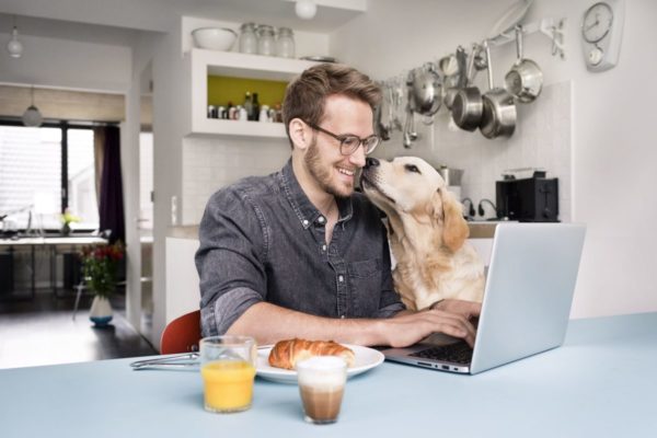 work from home milestones hr